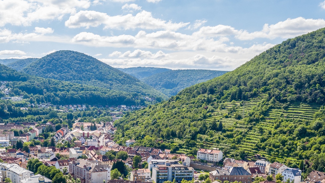 Hikes in Neustadt an der Weinstraße