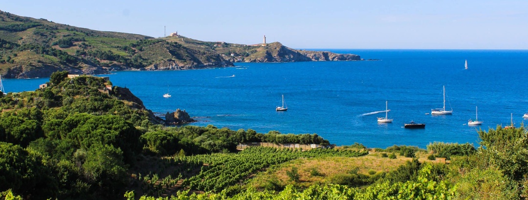 Vue sur le Cap Béar en Pyrénées Méditerranée