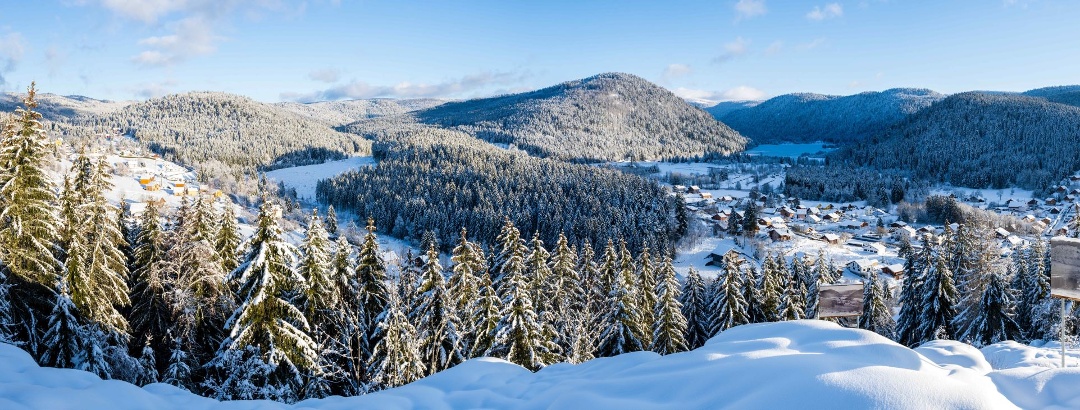 The Gérardmer national forest seen from the Roche du Page in Xonrupt-Longemer