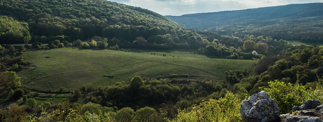 Cseszneki panoráma, Bakony