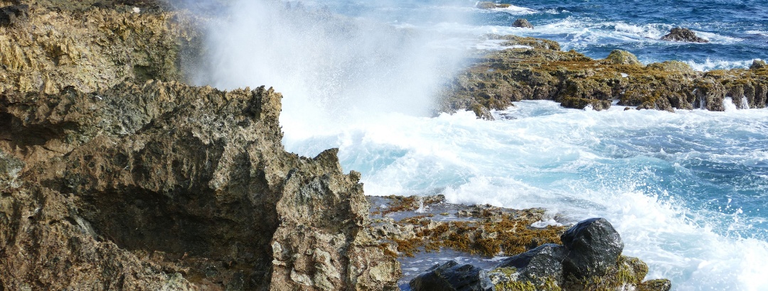 Coral coast in Aruba