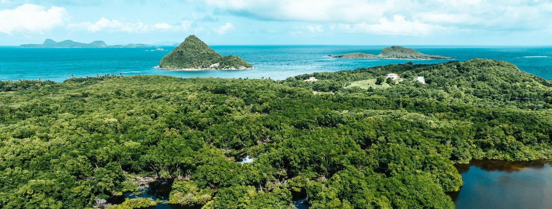 Blick auf die Insel Grenada in der Karibik.