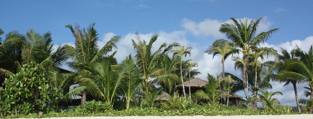 Sandy beach, Guam