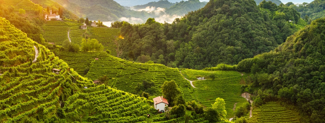 Colline del Prosecco Conegliano Valdobbiadene