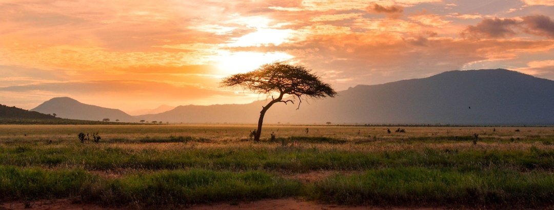 Tsavo East National Park Kenya in Kenia.