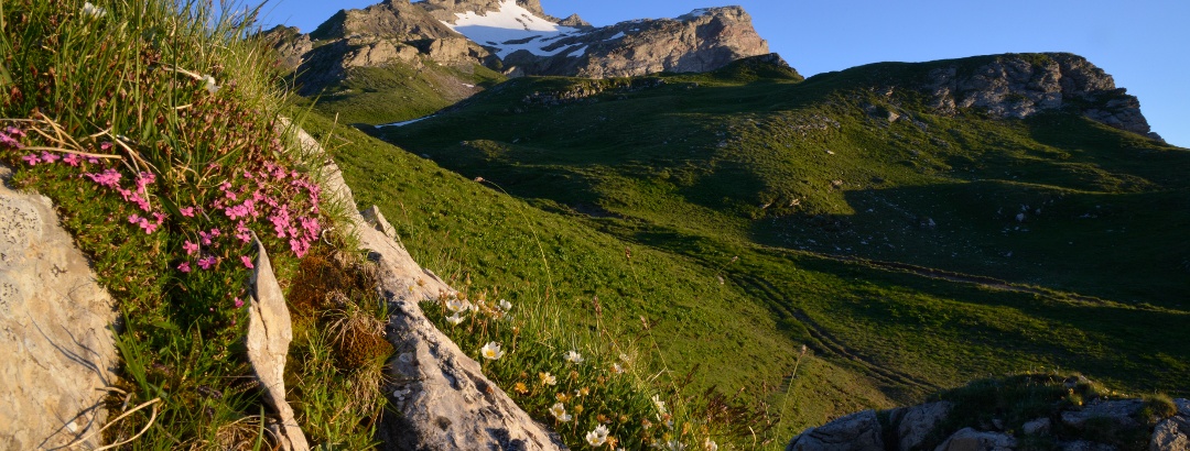 Liechtenstein