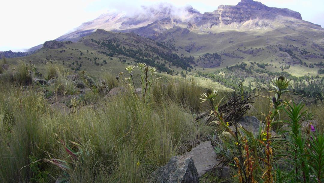 Landschaftsperspektiven am Iztaccihuatl