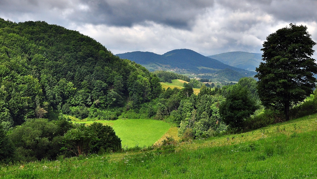 Wanderungen in Polen