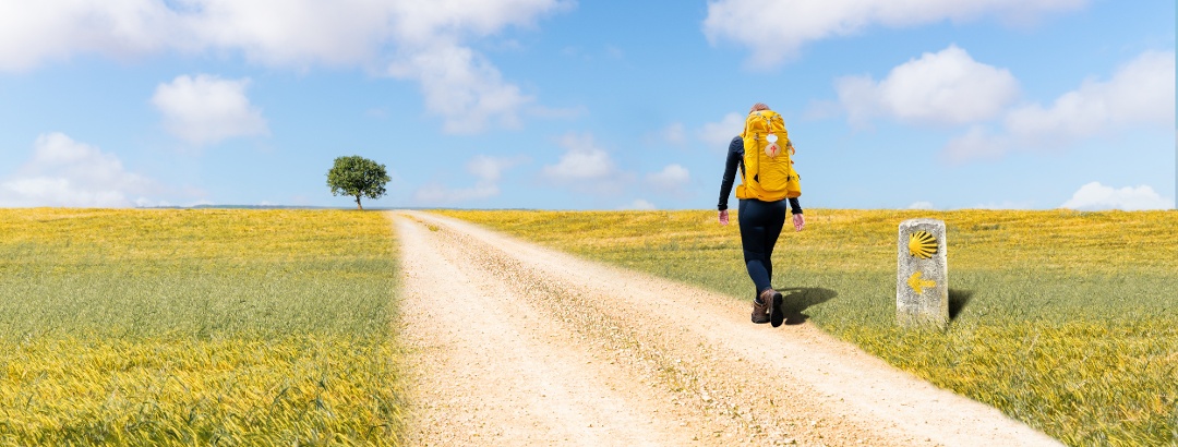 On the Way of St. James to Santiago de Compostela