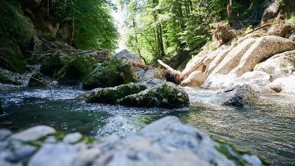 The Engenloch Gorge in Hittisau